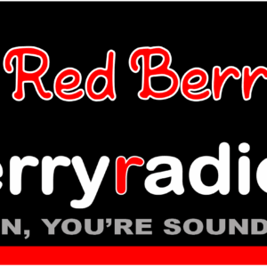 Vehicle Bumper Sticker