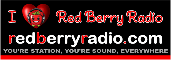 Vehicle Bumper Sticker