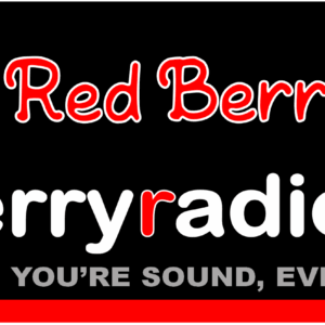 Donation and UNIQUE Vehicle Bumper Sticker