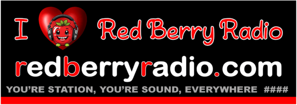 Donation and UNIQUE Vehicle Bumper Sticker
